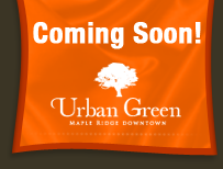 move in today banner